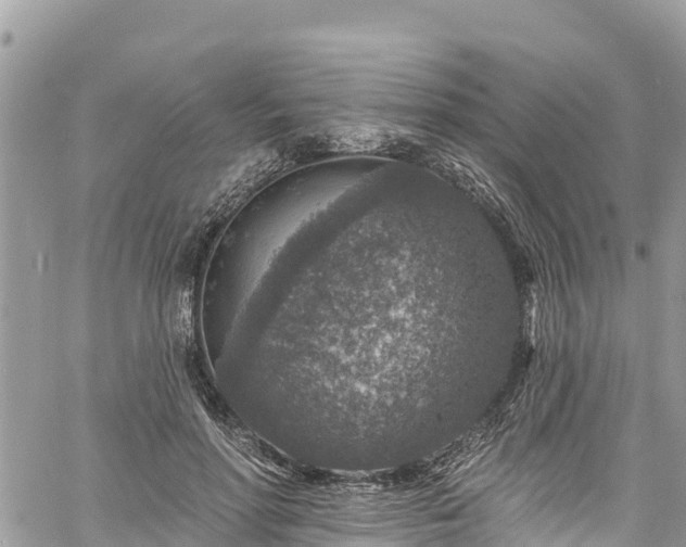 X0000061150598200511211003