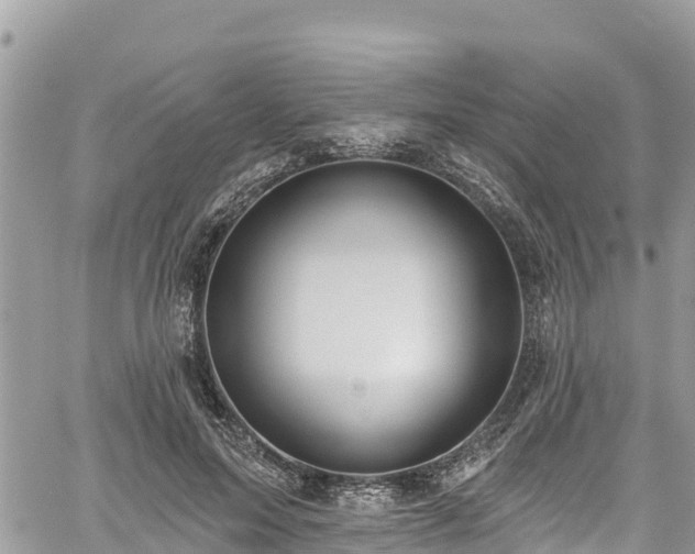 X0000061150599200511211003