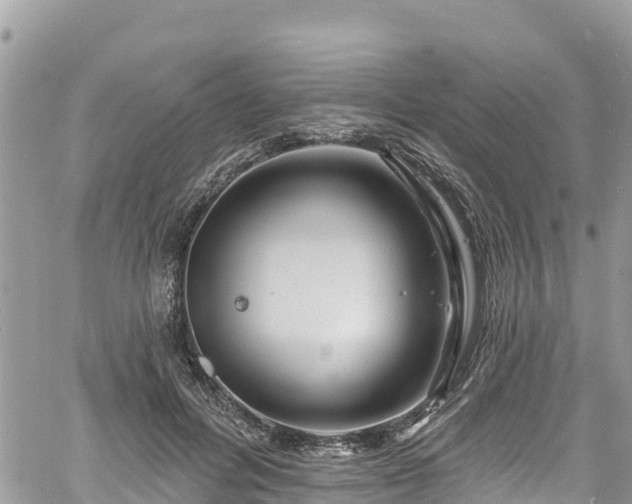 X0000061150600200511211003