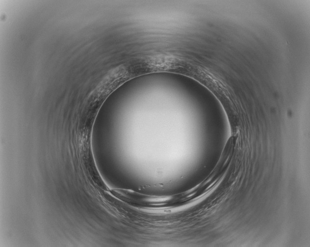 X0000061150601200511211003