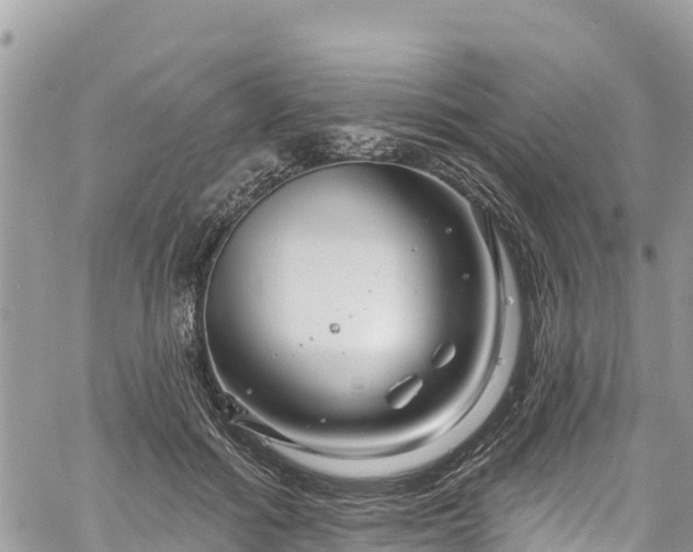 X0000061150602200511211003