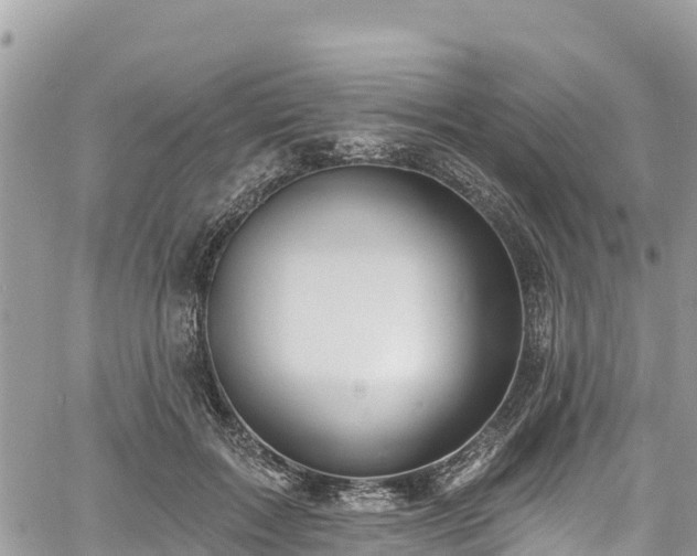 X0000061150603200511211003