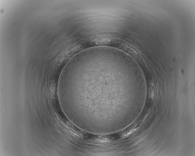 X0000061150604200511211003