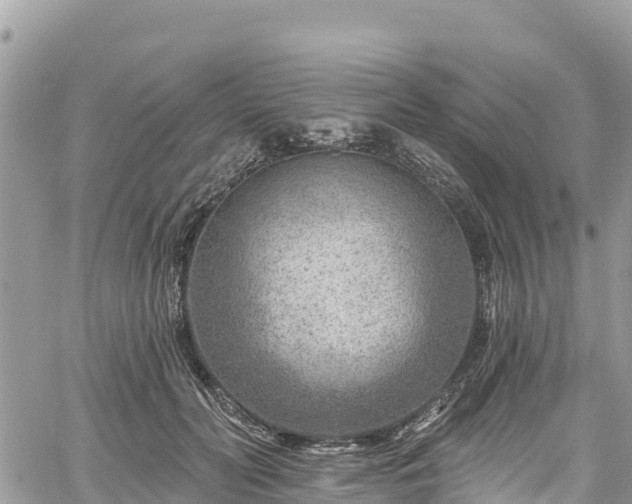 X0000061150606200511211003