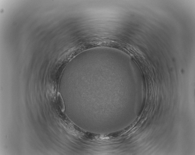 X0000061150607200511211003