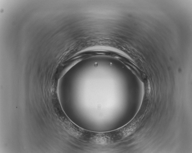 X0000061150608200511211003