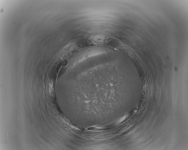 X0000061150610200511211003