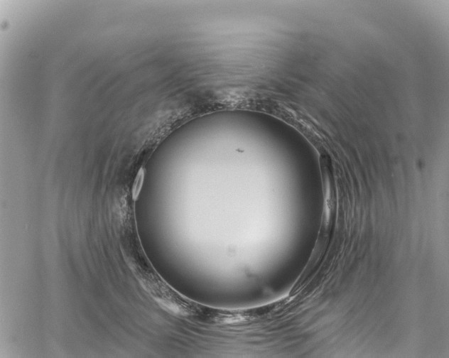 X0000061150611200511211003