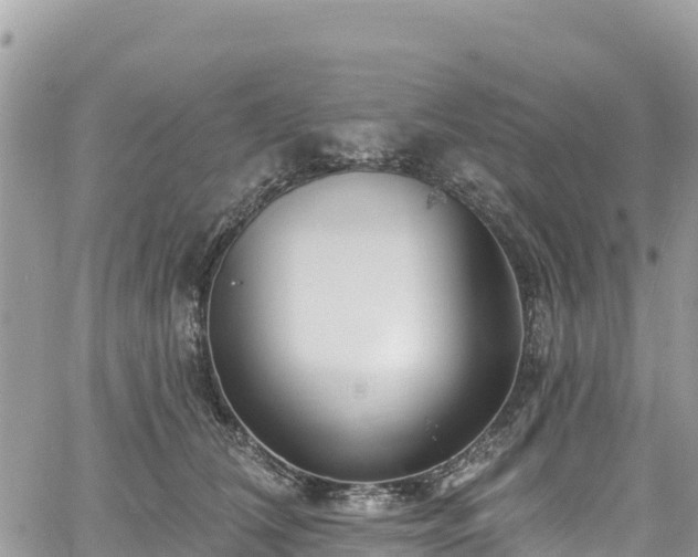 X0000061150612200511211003