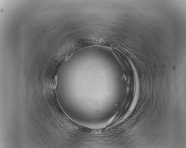 X0000061150613200511211003