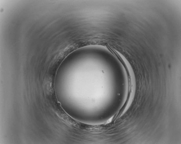 X0000061150615200511211003