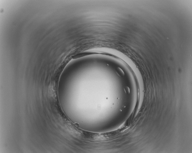 X0000061150616200511211003