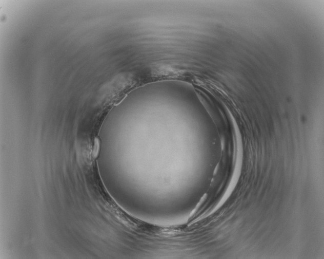 X0000061150617200511211003