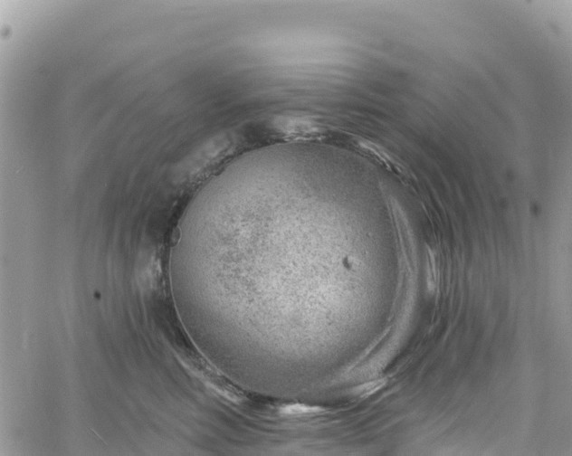 X0000061150618200511211003