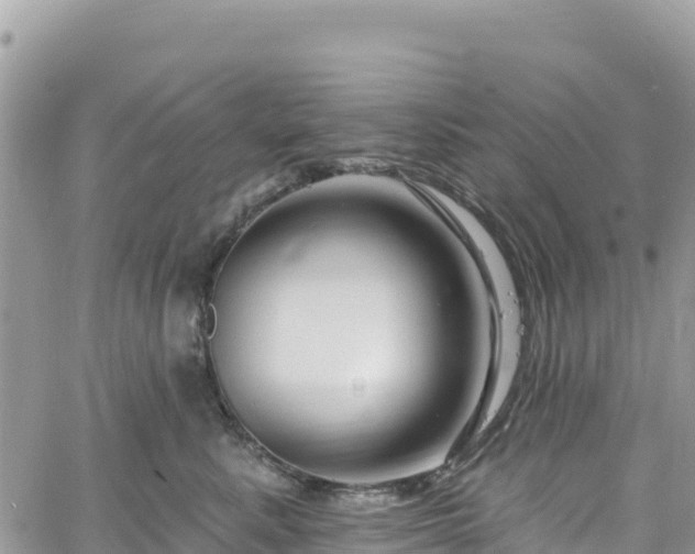 X0000061150619200511211003