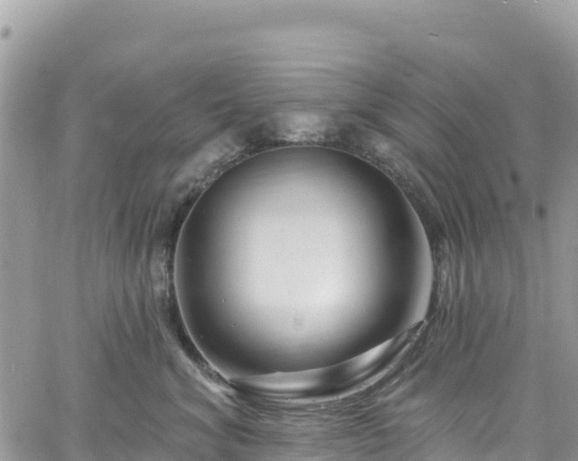 X0000061150620200511211003