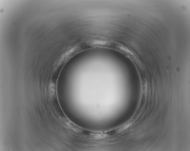 X0000061150621200511211003