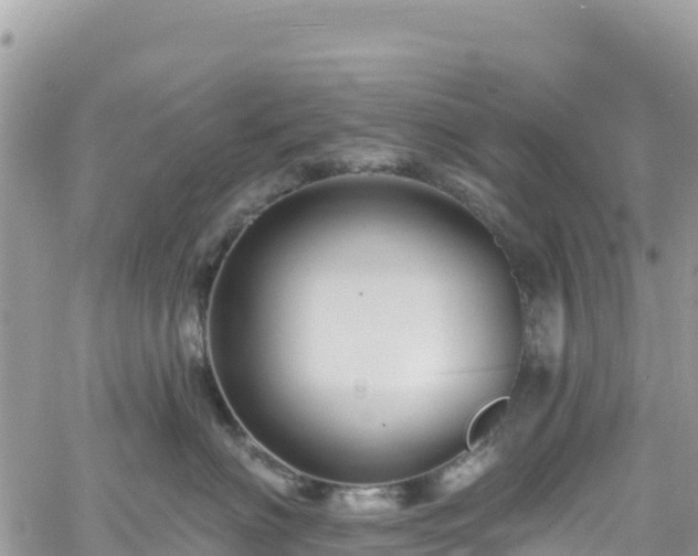 X0000061150622200511211003