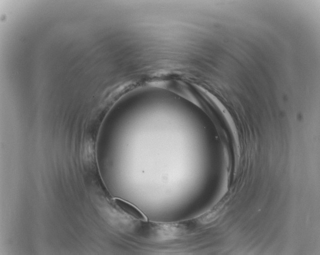 X0000061150623200511211003