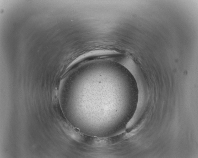 X0000061150624200511211003