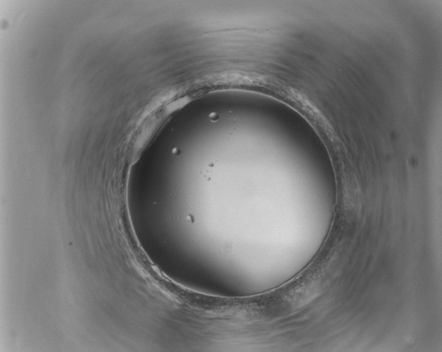 X0000061150625200511211002