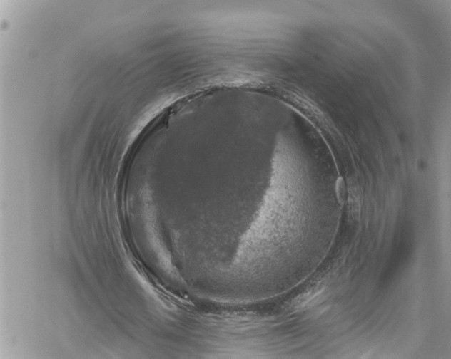 X0000061150626200511211002