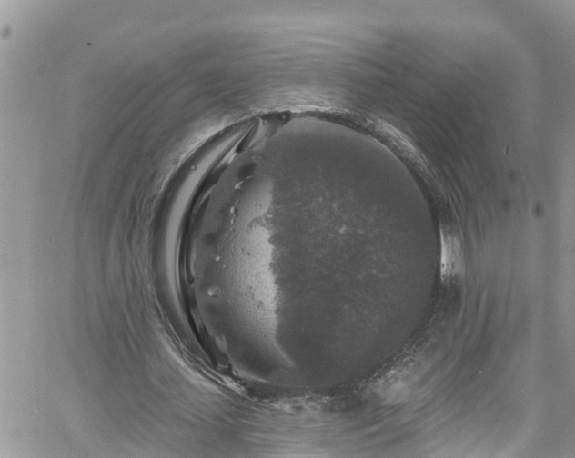 X0000061150627200511211002