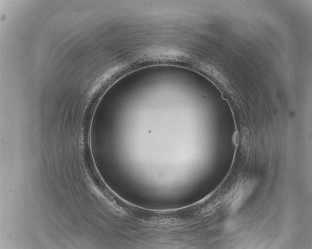 X0000061150629200511211002