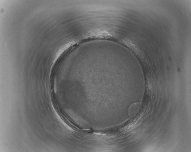 X0000061150630200511211002