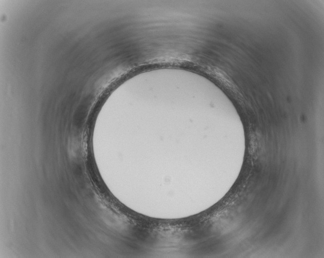 X0000061150632200511211002