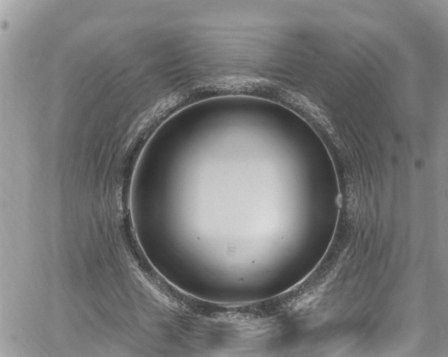 X0000061150633200511211002