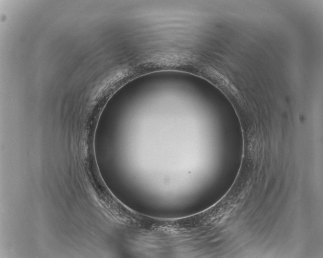 X0000061150635200511211002