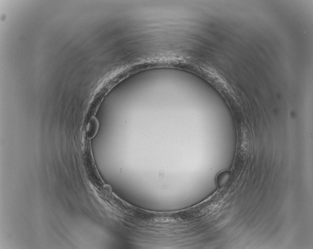 X0000061150636200511211002