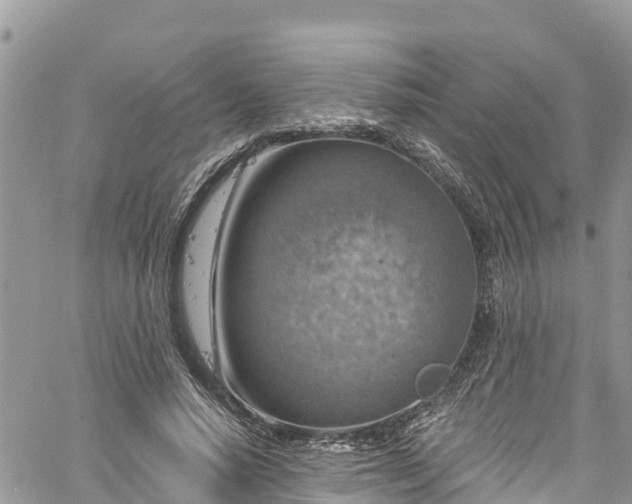 X0000061150640200511211002