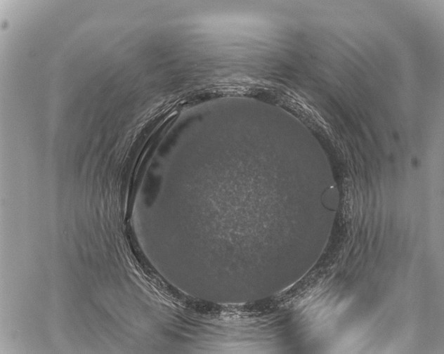 X0000061150641200511211002