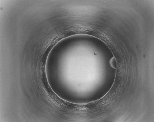 X0000061150642200511211002