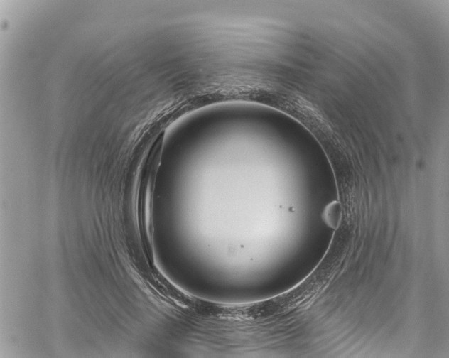 X0000061150644200511211002