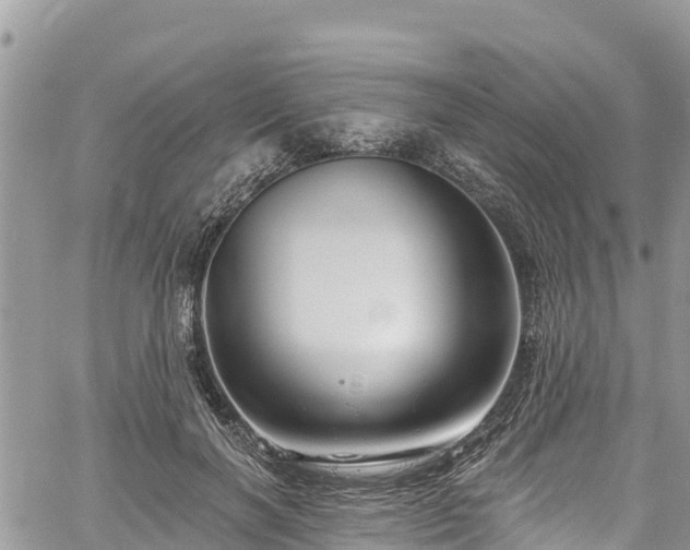 X0000061150646200511211002