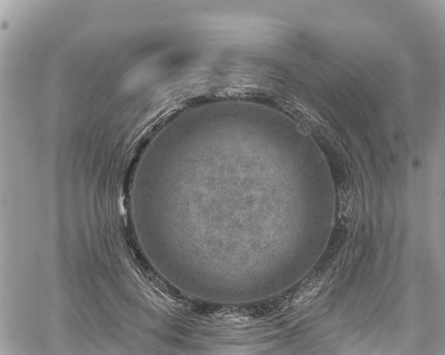 X0000061150648200511211003