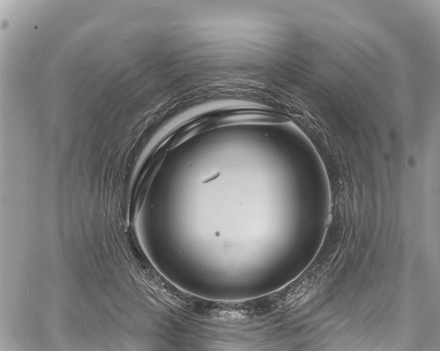 X0000061150649200511211003