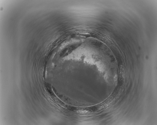 X0000061150650200511211003