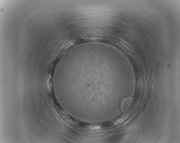 X0000061150651200511211003