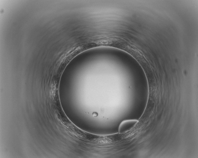 X0000061150652200511211003