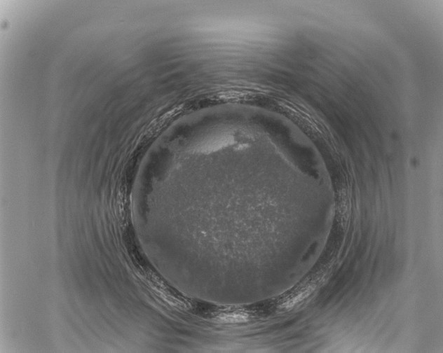 X0000061150653200511211003