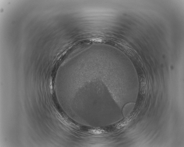 X0000061150654200511211003