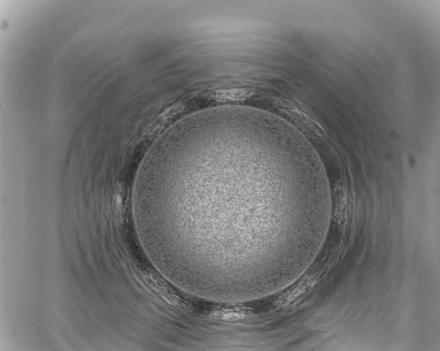 X0000061150655200511211003