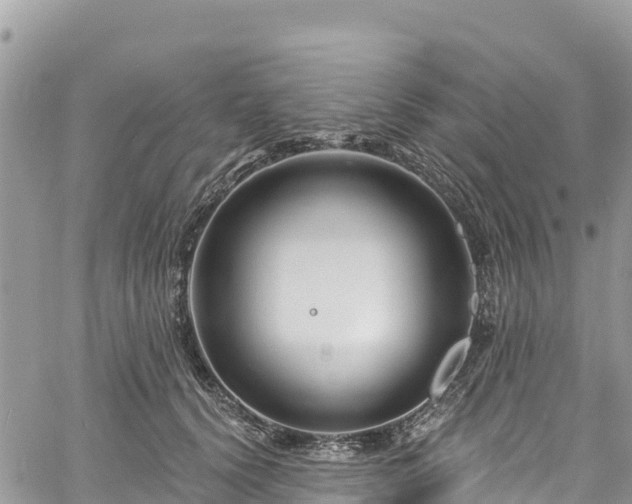 X0000061150656200511211003