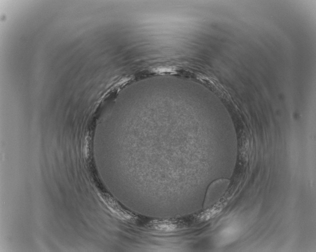 X0000061150658200511211003