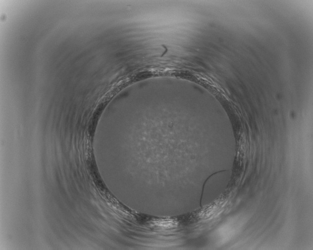 X0000061150659200511211003