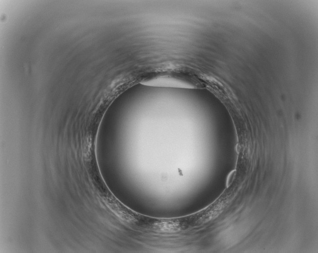 X0000061150660200511211003